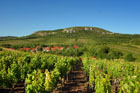 Pálava, pálavská krajina